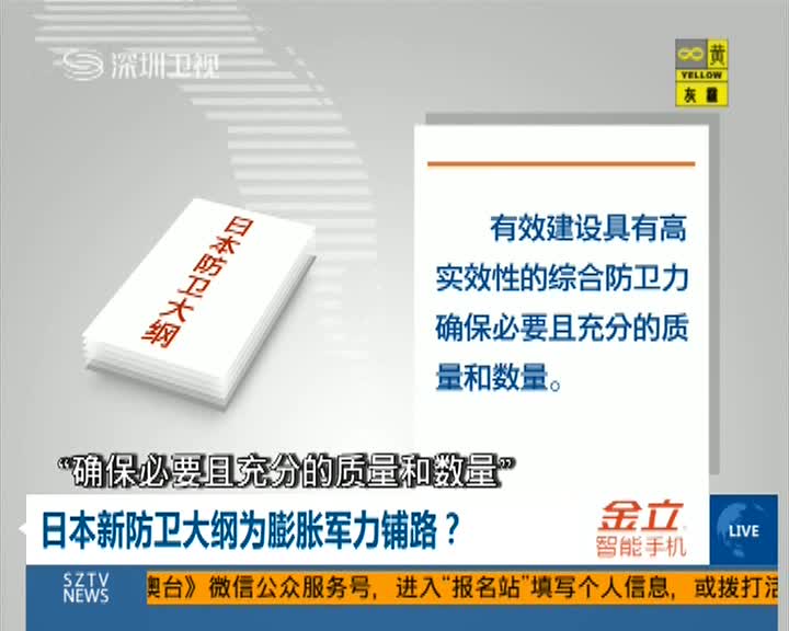 专家:日本新防卫大纲为膨胀军力铺路